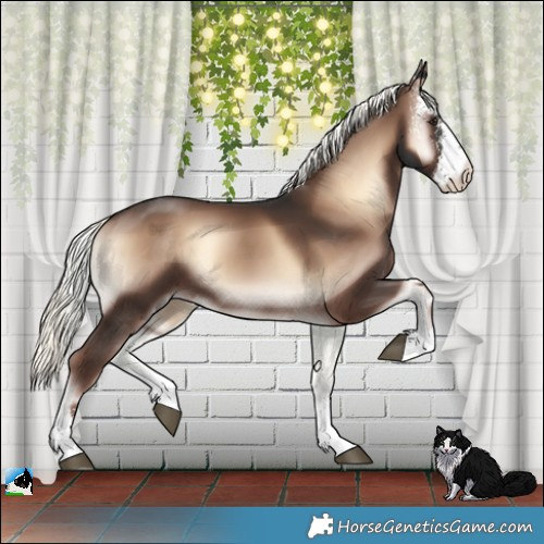 Horse Color:Liver Red Onyx Mushroom Sabino 