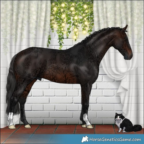 Horse Color:Brown Ice 