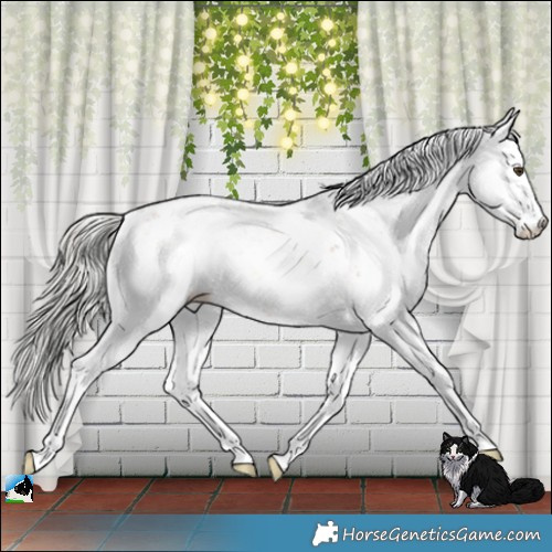 Horse Color:Gold Champagne Onyx Mushroom Sabino 