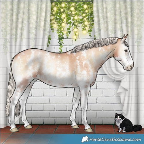 Horse Color:Silver Bay Pearl Onyx Sabino 