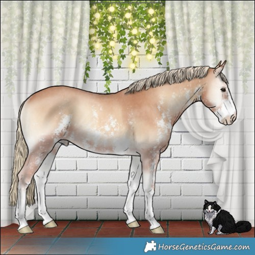 Horse Color:Red Onyx Mushroom Sabino Rabicano 