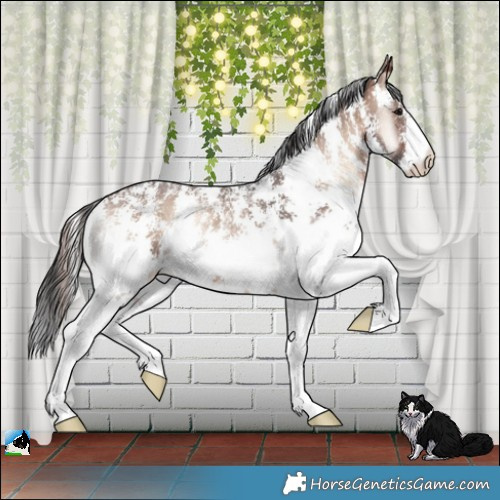 Horse Color:Brown Onyx Mushroom Sabino Rabicano 