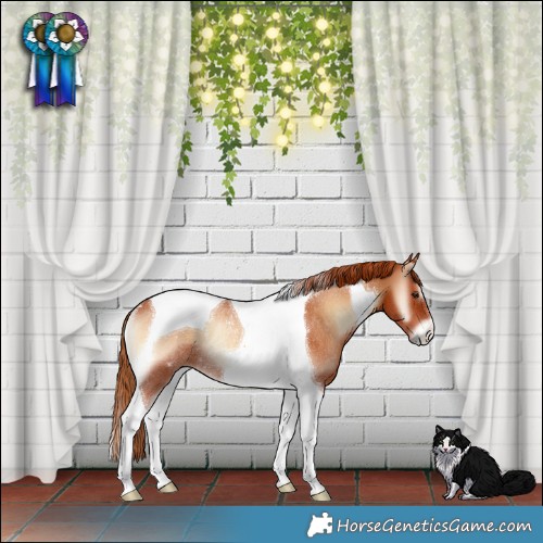 Horse Color:Red Onyx Tobiano Rabicano 