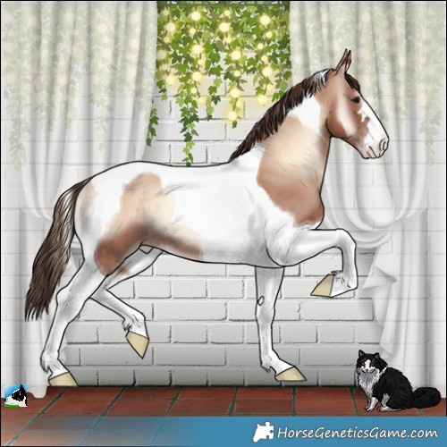 Horse Color:Classic Champagne Onyx Tobiano 