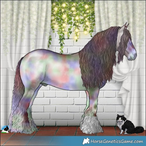 Horse Color:Nacre Chocolate Brown Chinchilla Onyx 