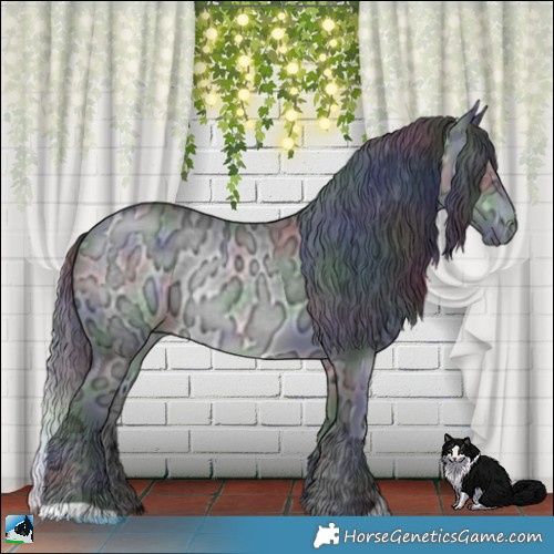 Horse Color:Nacre Brown Chinchilla Ice Rabicano 