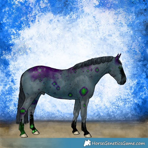Horse Color:ERROR: UNKNOWN ANOMALY