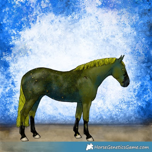 Horse Color:ERROR: UNKNOWN ANOMALY