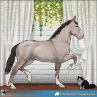 Horse Color:Classic Champagne Dun Mushroom 