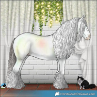 Horse Color:Classic Champagne Ice Dun Mushroom Sabino Splash Brindle 