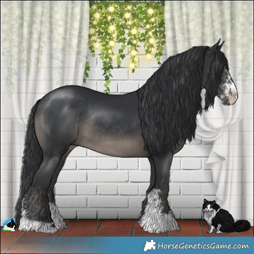 Horse Color:Black Sabino Rabicano 