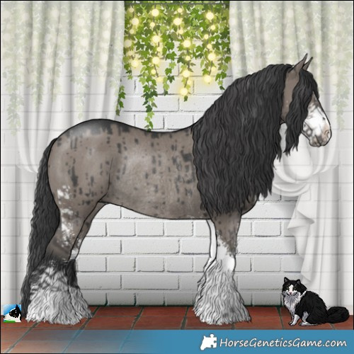 Horse Color:Grullo Mushroom Sabino Rabicano Brindle 