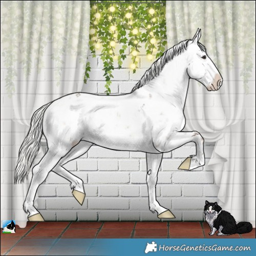 Horse Color:Liver Red Dun Onyx Mushroom Sabino Rabicano Brindle 