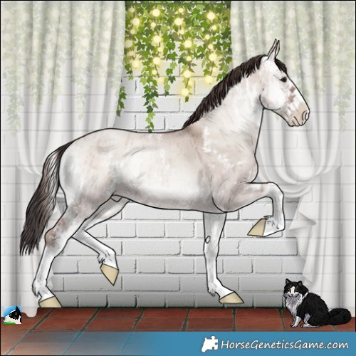Horse Color:Classic Champagne Onyx Mushroom Sabino Rabicano Brindle 