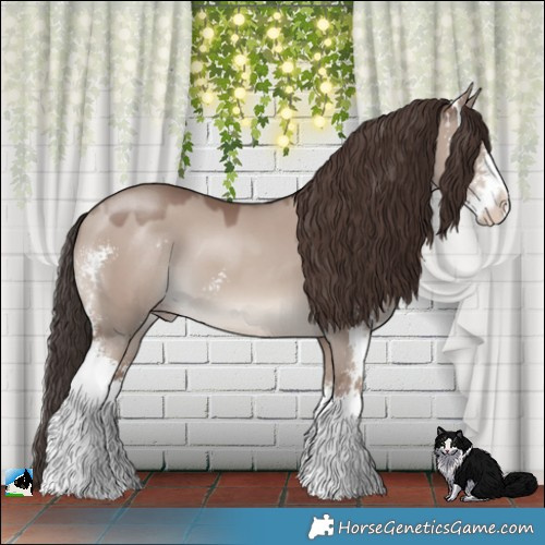 Horse Color:Classic Champagne Dun Mushroom Sabino 