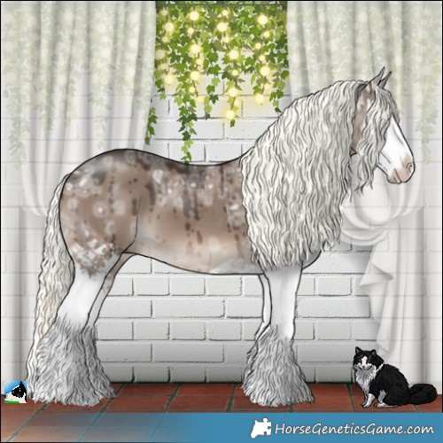 Horse Color:Liver Red Dun Ice Mushroom Splash Brindle 