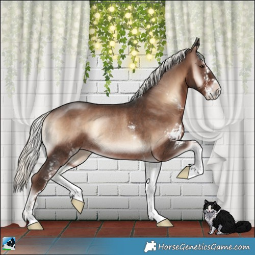 Horse Color:Liver Red Onyx Mushroom Sabino Rabicano