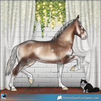 Horse Color:Liver Red Onyx Mushroom Sabino Rabicano 