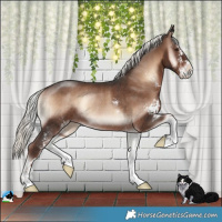 Horse Color:Liver Red Onyx Mushroom Sabino Rabicano 