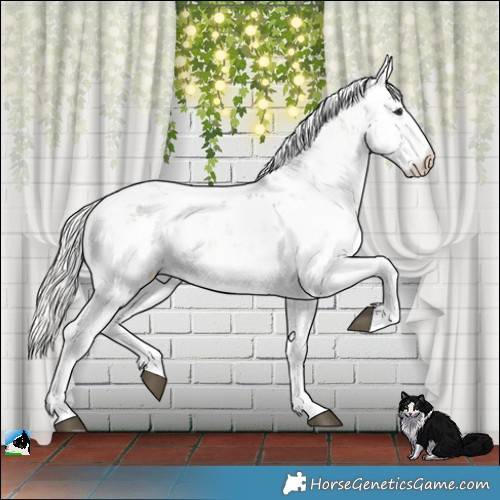 Horse Color:Liver Red Dun Onyx Mushroom Sabino 