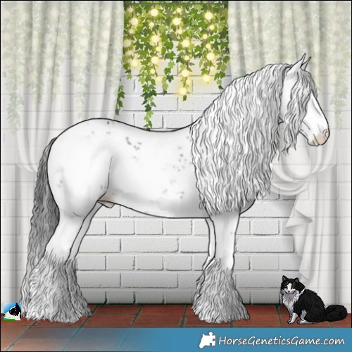 Horse Color:Black Ice Mushroom Sabino Rabicano 