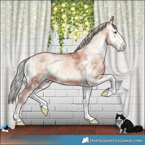 Horse Color:Gold Champagne Ice Onyx Mushroom Sabino Brindle 
