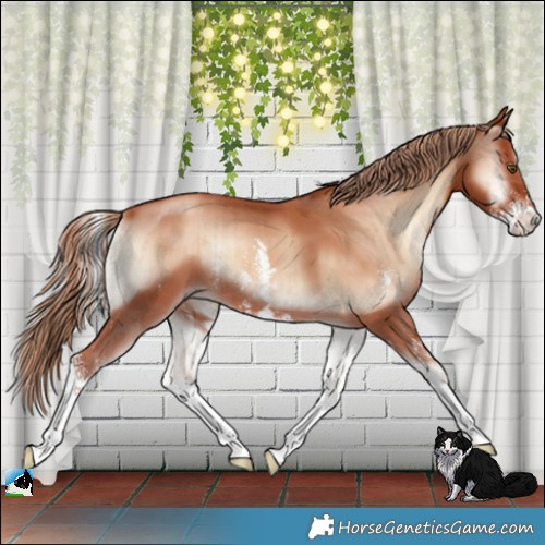 Horse Color:Gold Champagne Onyx Sabino Brindle 