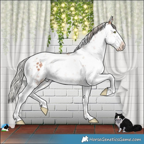 Horse Color:Gold Champagne Mushroom Sabino 