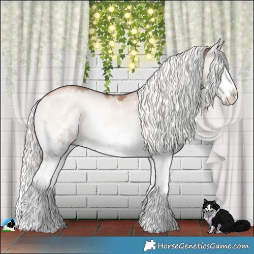 Horse Color:Gold Champagne Onyx Mushroom Sabino Splash 