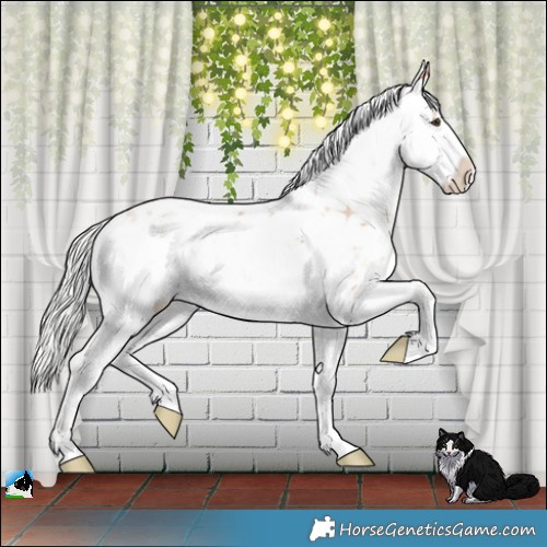 Horse Color:Gold Champagne Onyx Mushroom Sabino 