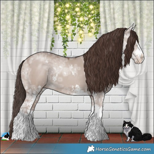Horse Color:Classic Champagne Ice Dun Mushroom Sabino 
