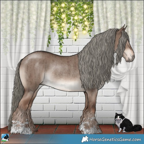 Horse Color:Liver Red Dun Mushroom Rabicano Brindle 