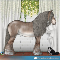 Horse Color:Liver Red Dun Mushroom Rabicano Brindle 