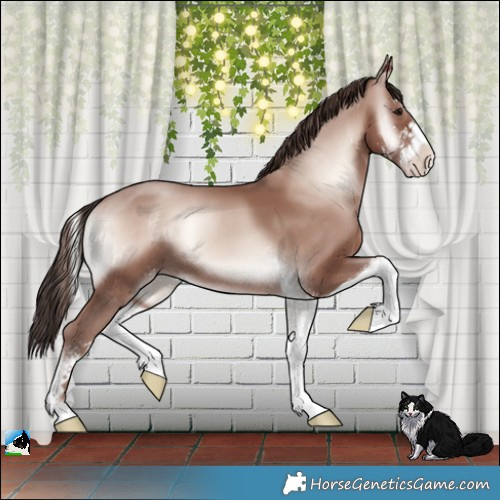 Horse Color:Classic Champagne Onyx Mushroom Sabino 