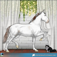 Horse Color:Gold Champagne Onyx Sabino Brindle