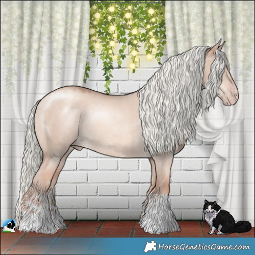 Horse Color:Gold Champagne Dun Mushroom Rabicano 