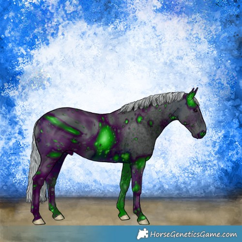 Horse Color:ERROR: UNKNOWN ANOMALY