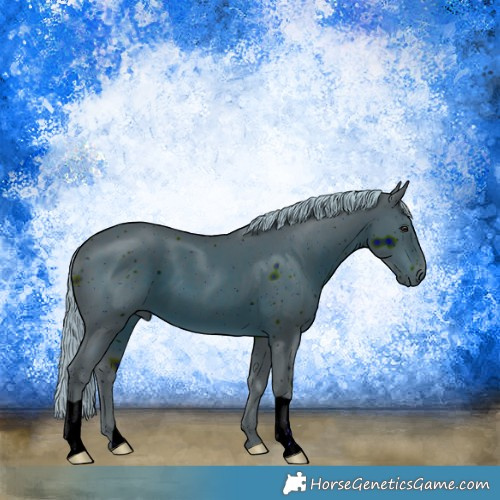 Horse Color:ERROR: UNKNOWN ANOMALY