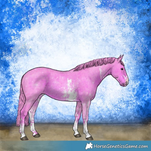 Horse Color:Watercolor Liver Chestnut Sabino Rabicano 