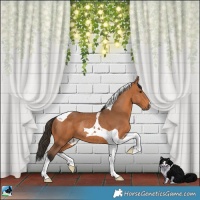 Horse Color:Bay Tobiano Rabicano 