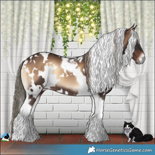 Horse Color:White Spotted Liver Red Onyx Tobiano Rabicano 