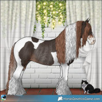Horse Color:Liver Chestnut Sabino Tobiano Rabicano