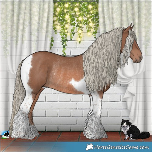 Horse Color:Chestnut Mushroom Tobiano Rabicano 