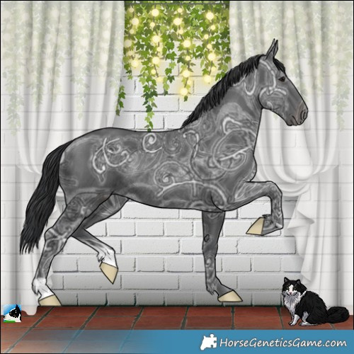 Horse Color:Black Ice Rabicano 
