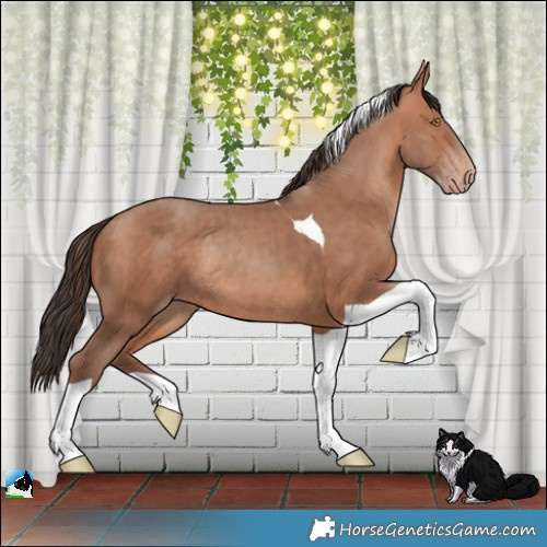 Horse Color:Sable Champagne Tobiano Rabicano 