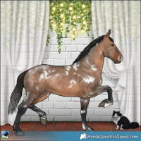Horse Color:White Spotted Brown Dun Rabicano 