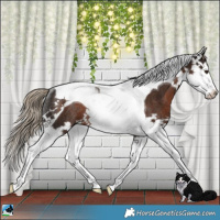 Horse Color:Liver Chestnut Splash Tobiano Rabicano