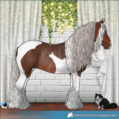 Horse Color:Silver Brown Tobiano Rabicano 