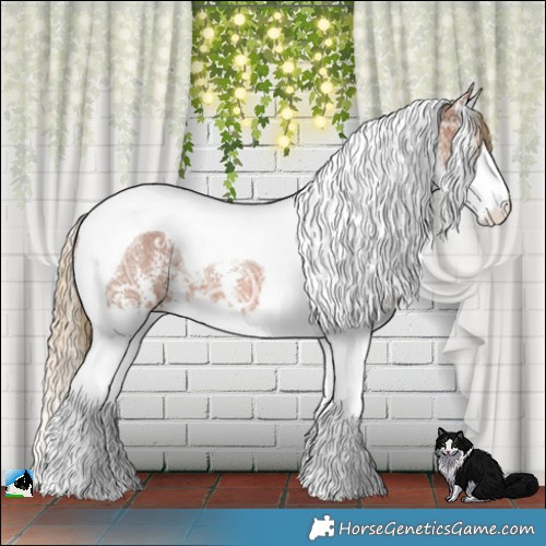 Horse Color:Chestnut Ice Sabino Splash Tobiano Rabicano 