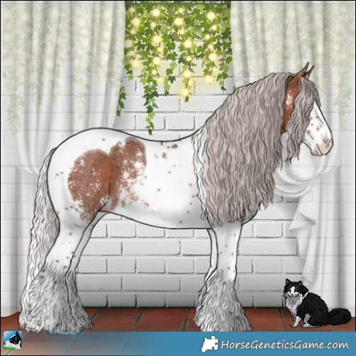 Horse Color:Silver Brown Sabino Splash Tobiano Rabicano